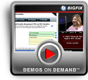Play A Walk Through the BigFix ROI Model Demo