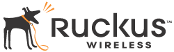 Ruckus Wirelss logo