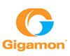 gigamon