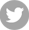 ico-twitter