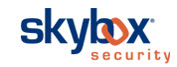 Skybox Security