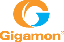 Gigamon
